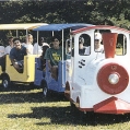 17 Passenger Train